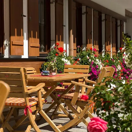 Hotel & Alphorn